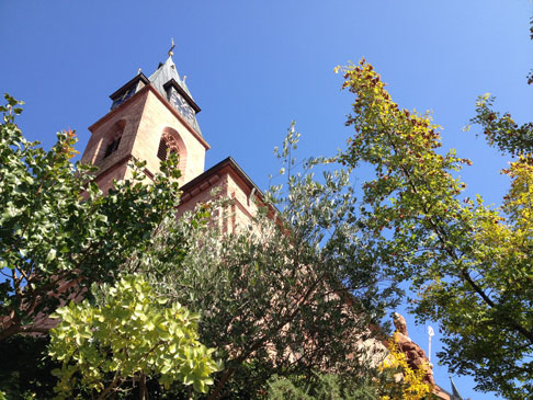 Olivenbaum bei der Kirche St. Martin