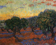 Vincent van
              Gogh Olivenhain Saint Remy